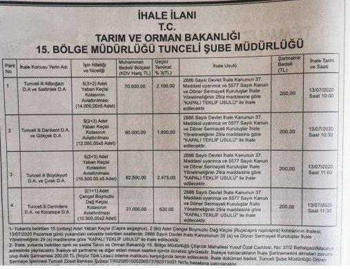 tunceli de dağ keçilerini avlama ihalesi
