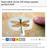 çin de bulunan 200 milyon yıllık yusufçuk fosili / #1454233