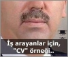 cv örneği