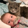 hayvanların bebeklere şevkatli davranması