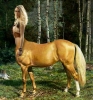 at gibi kadın
