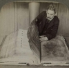 codex gigas