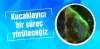 sözlükteki her yazar kalitelidir listeye gerek yok / #1907235