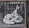 pompeii şehrindeki insan kalıntıları / #1972312