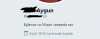 sözlük erkeklerinin hayat felsefeleri / #1531885