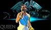 freddie mercury