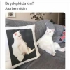 karton toplayan tinerci çocuk