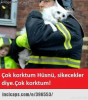 açık oylayan kadın yazarın niyeti