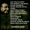 ahmed arif