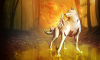 okami