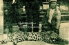 1936 yılı izmir seferihisar da katledilen leopar