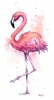 flamingo