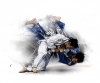 judo