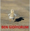 kızların ilk adımı hep erkekden beklemesi / #1440314
