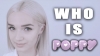 poppy / #1441335