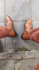 sözlük erkeklerinin ayakkabıları